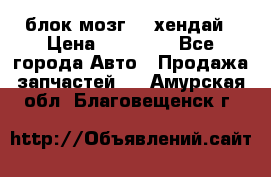 блок мозг hd хендай › Цена ­ 42 000 - Все города Авто » Продажа запчастей   . Амурская обл.,Благовещенск г.